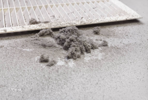 Best Air Duct Cleaning Company Near Me  in Mundelein, IL
