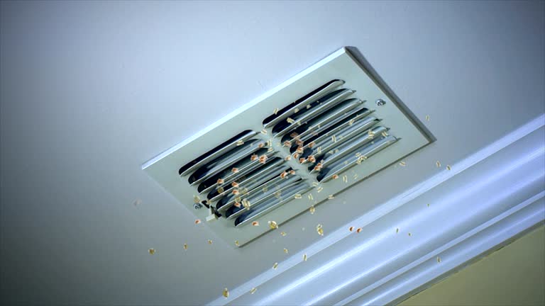 Best Ventilation Cleaning Services  in Mundelein, IL