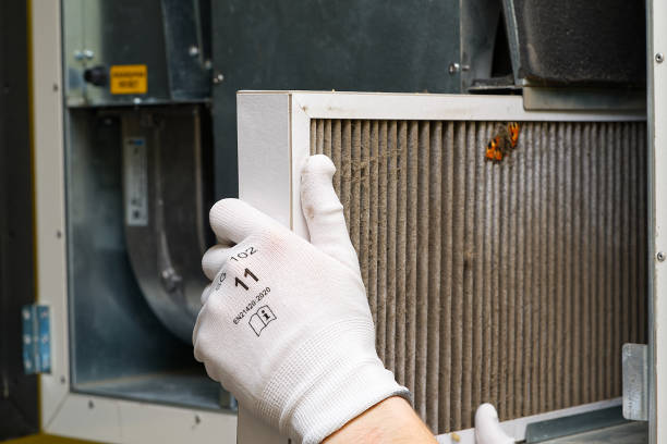 Best Home Air Vent Cleaning  in Mundelein, IL