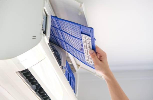 Best Dryer Vent Cleaning Services  in Mundelein, IL
