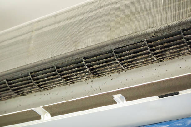 Best Residential Air Duct Cleaning  in Mundelein, IL